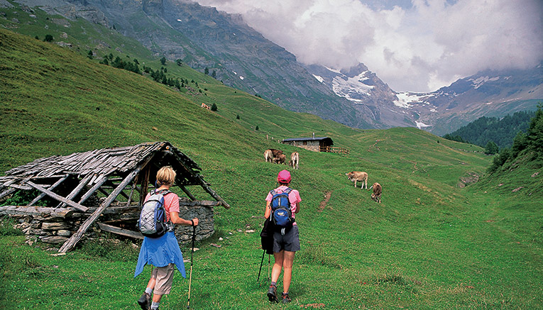 Wswi-switzerland-walking-8